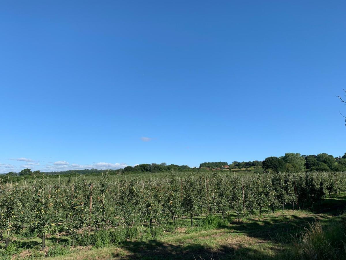 Blackberry Cottage Sutton Valence Εξωτερικό φωτογραφία